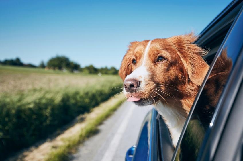 2 Full Beds  ADA/Tub/Micfridge - foto 21