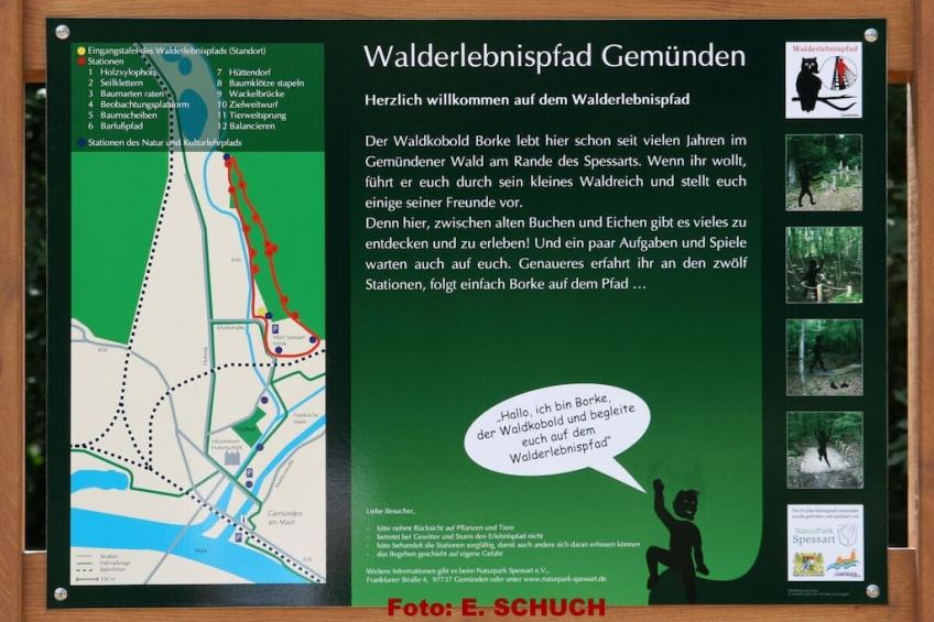 176887 - foto 32