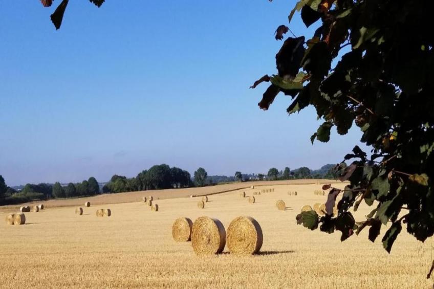 Gîte Saint-Gilles-les-Bois - foto 31