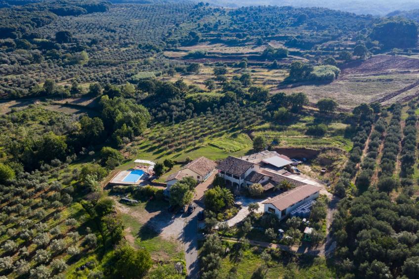 Tolles Reihenhaus im Olivenhain - foto 34