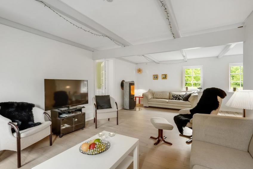 "Wilmar" - 1km to the inlet in Western Jutland - foto 31