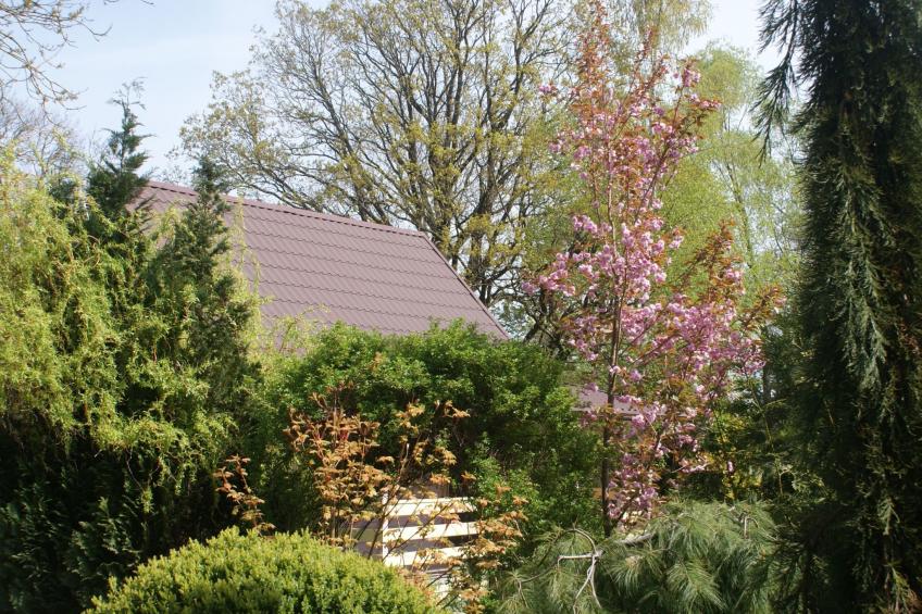 Ruhe am Meer - Ferienhäuser in den Gärten von Magra - foto 36