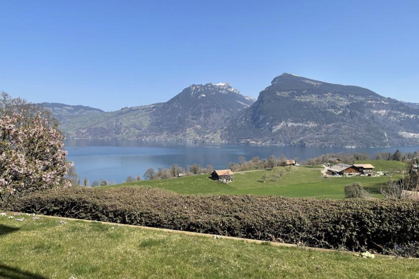 Panoramaferienwohnung Waldkircher Appartement/Fewo - foto 4