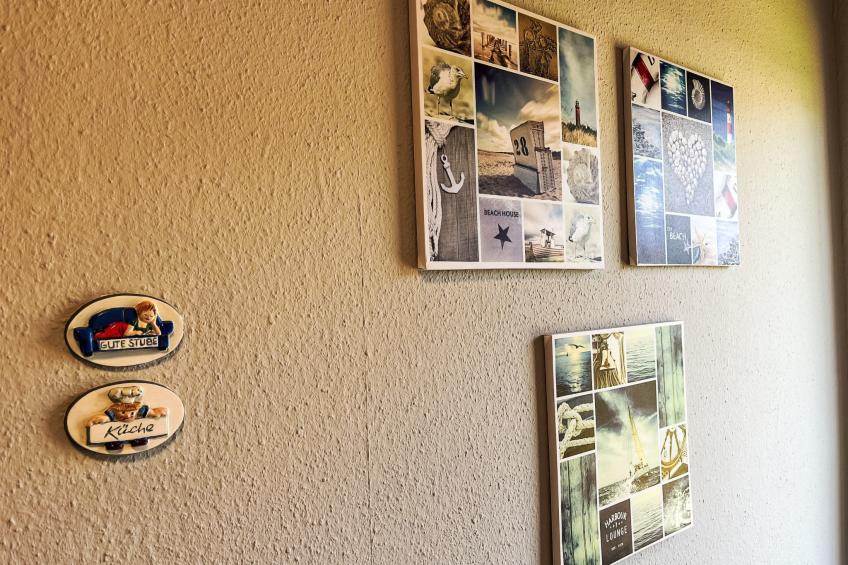 Ole - foto 5