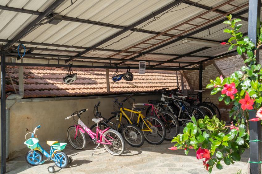 Agriturismo Ca di Nonni (PTB152) - foto 18