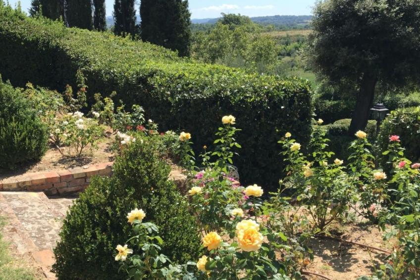 Wohnung in Chiusi mit Grill, Gemeinschaftspool und Garten - foto 6