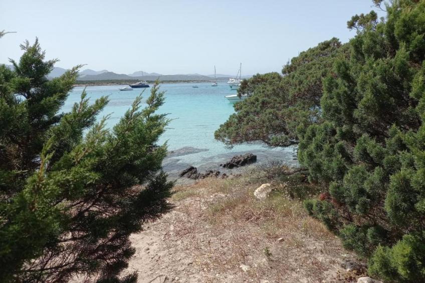 Mono 2 Pax - foto 39