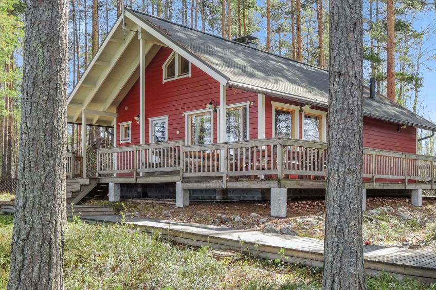 Koli, sammonranta