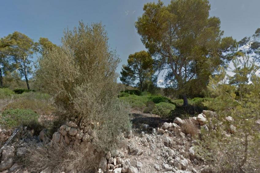 Can Xesquet - foto 7