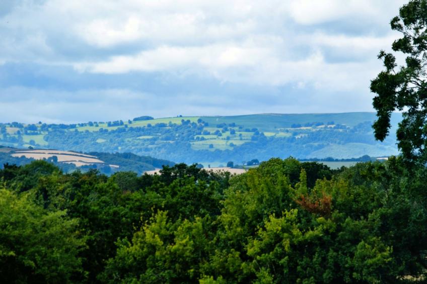 Coach House Wellbeing Retreat - foto 3