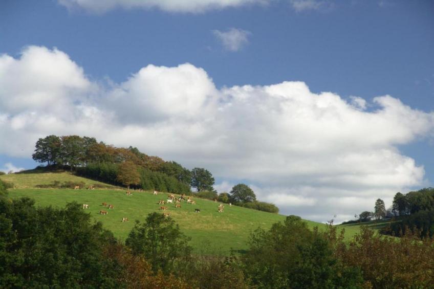 Sauerlandstuben - foto 42