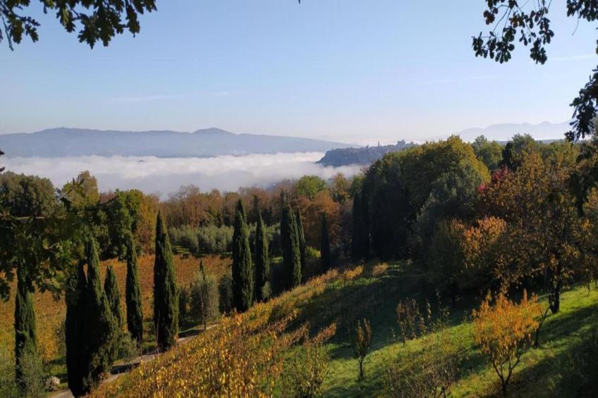 Appartamento Ghianda - foto 38