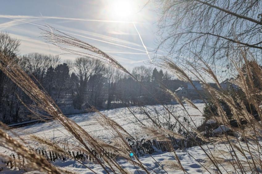 Gartenblick - foto 4