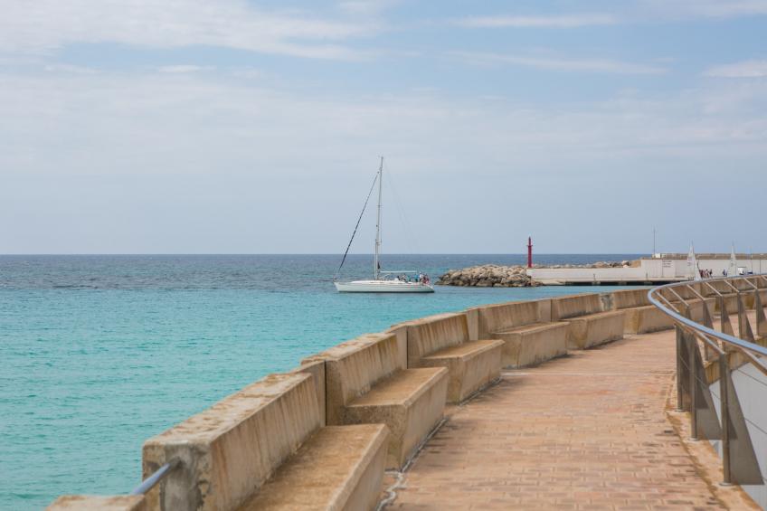 RomanÍ Des Figueral - foto 33