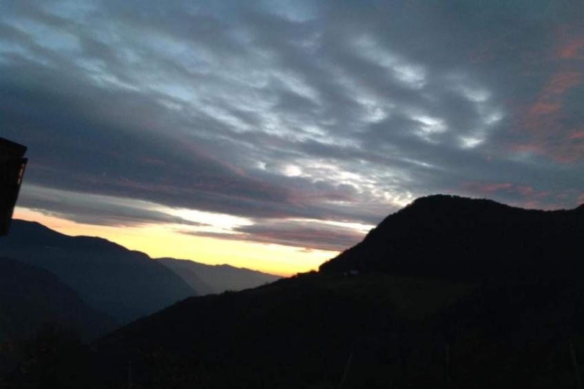 Schwalbennest - foto 25