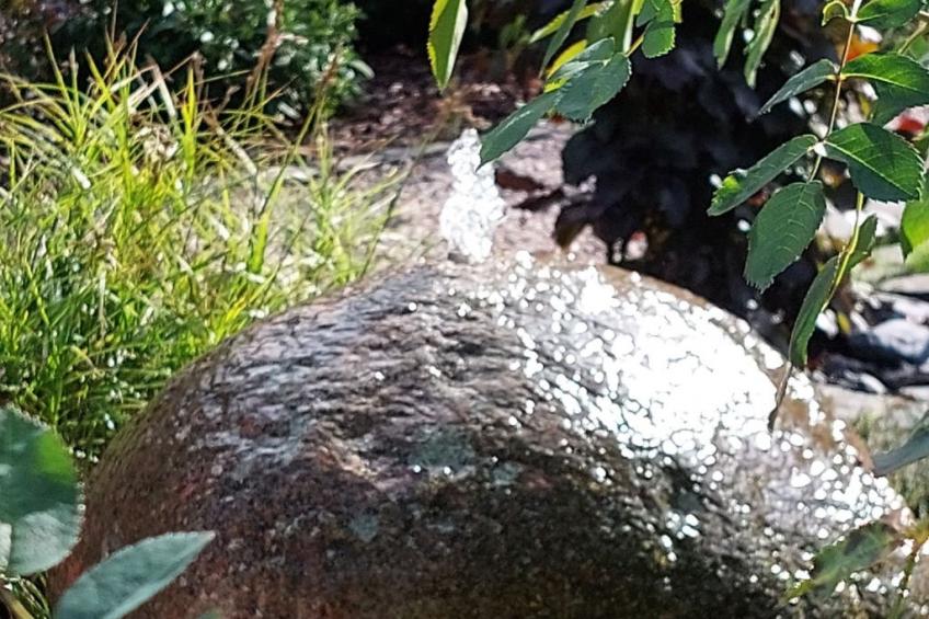 EifeLeben mit wunderschönem Garten - foto 23