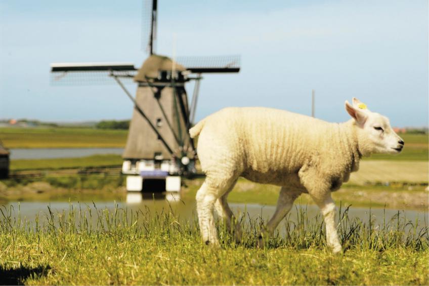 Kustpark Texel 13 - foto 40