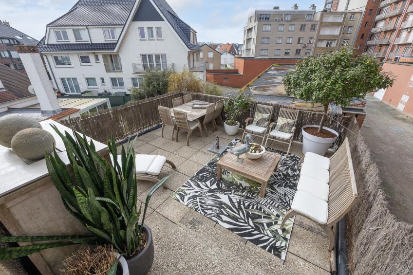 Rising Sun - 0101 - foto 15