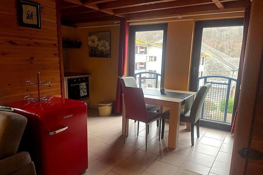 Hondvriendelijke woning met sauna en jacuzzi - foto 7