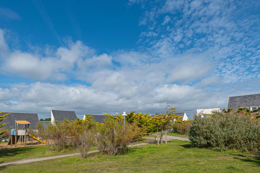 Sud Océan - foto 11