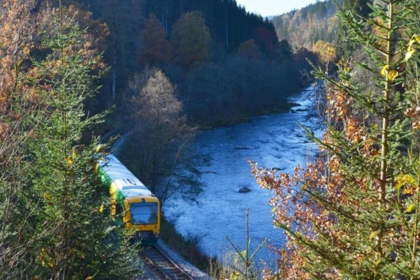 Bayerischer Wald - foto 31