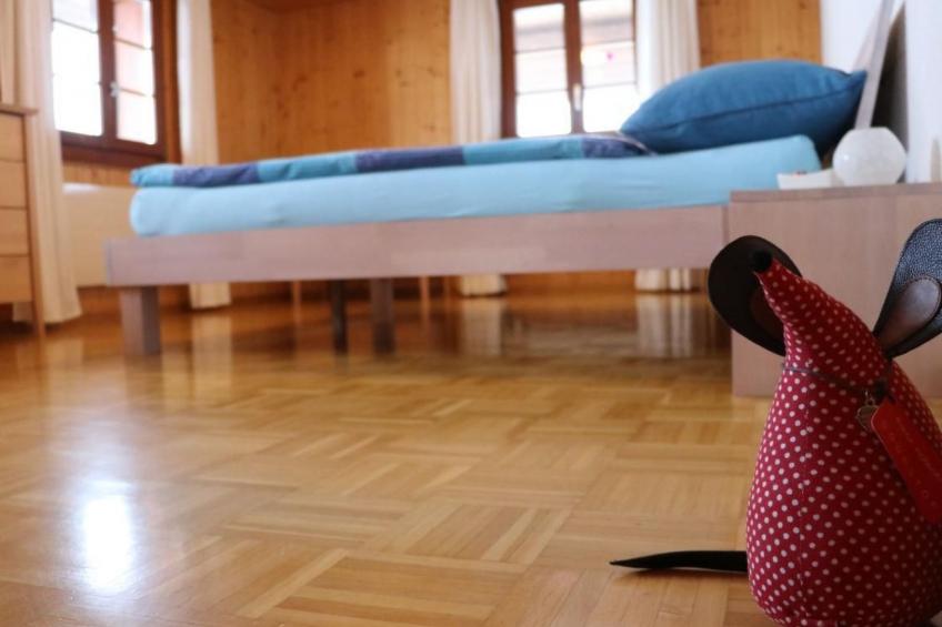 Ober-Tiefenbühl - foto 5