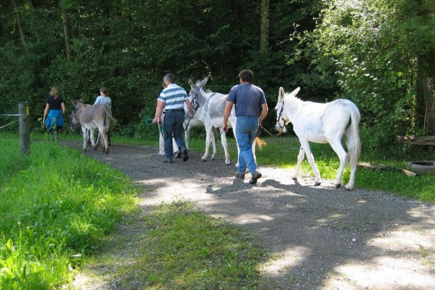 Tieroase Grünegg - foto 15