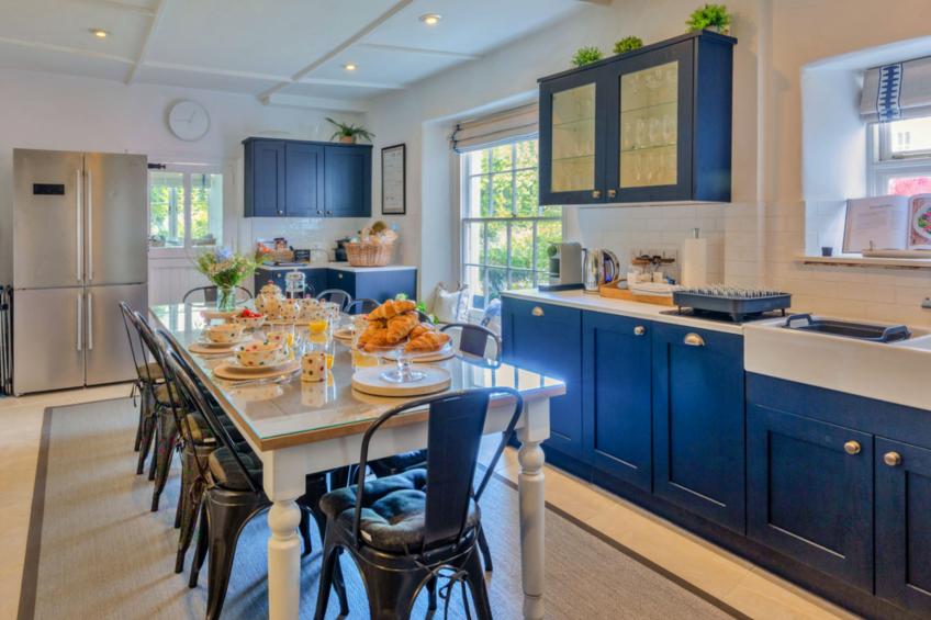 Blue Monkey - foto 5