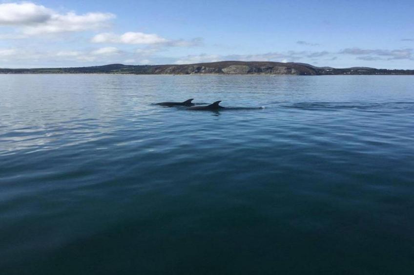 'Susanna' Poachers Hut - foto 11