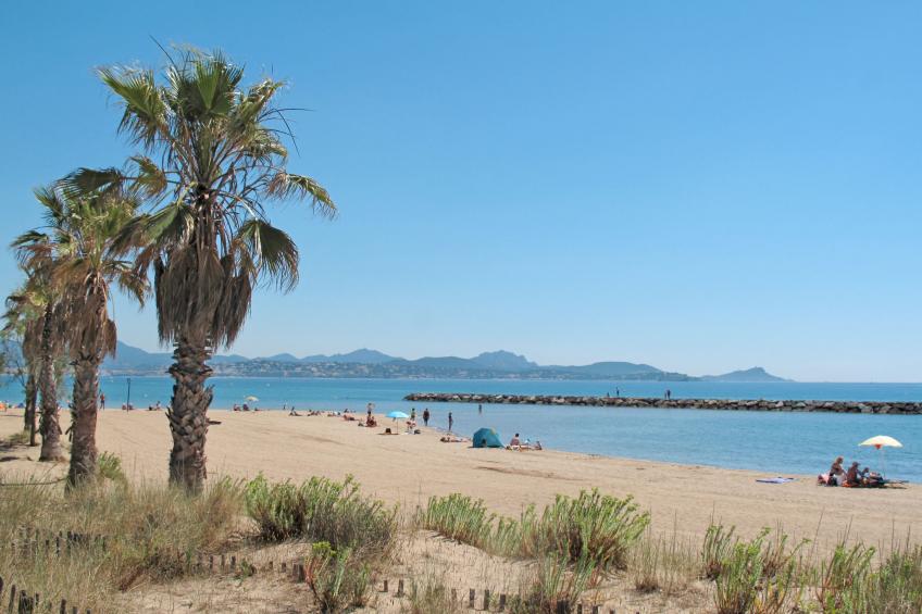 LES MAS DE LA MER - foto 43