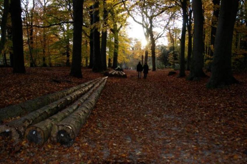 De Meerkoet - foto 36