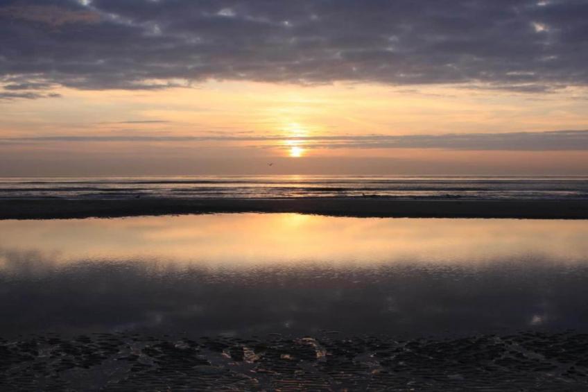 Residentie Californië - foto 34