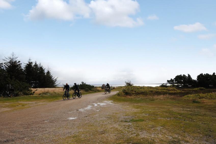 "Eljas" - 200m to the inlet in The Liim Fiord - foto 9