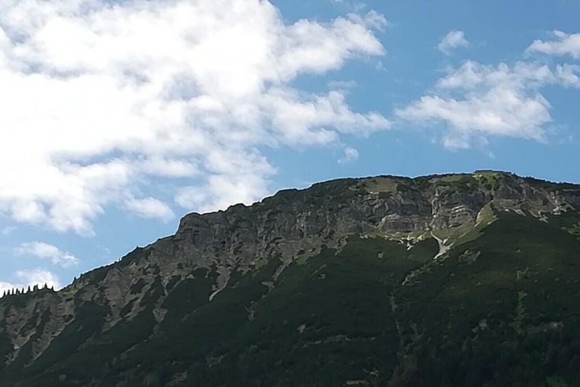 535781 - foto 16