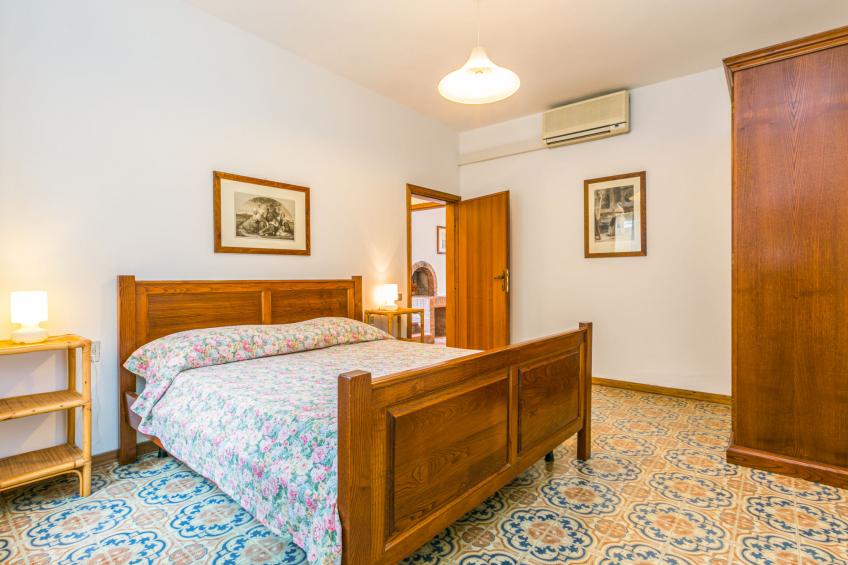 Dalia - foto 22
