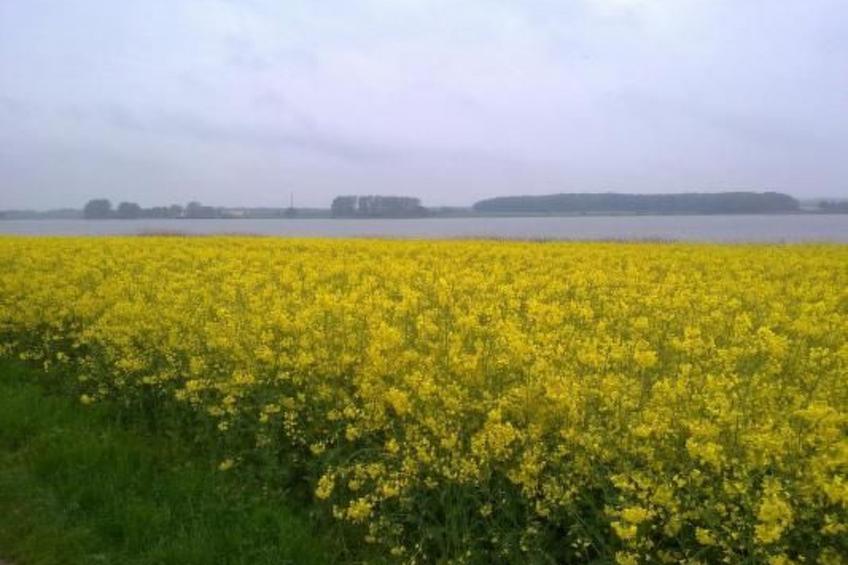 in Winnemark mit Großem Garten - foto 32