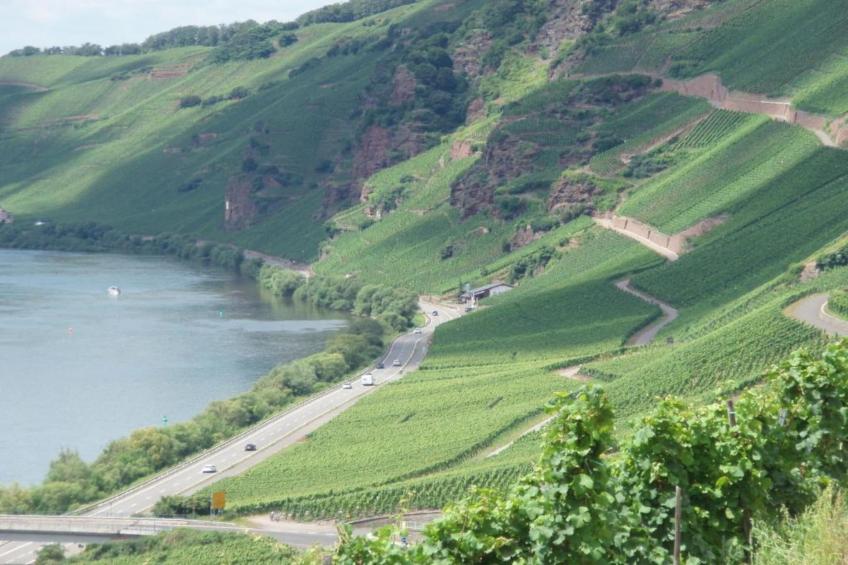 Weingut Justen-Kiebel - foto 24