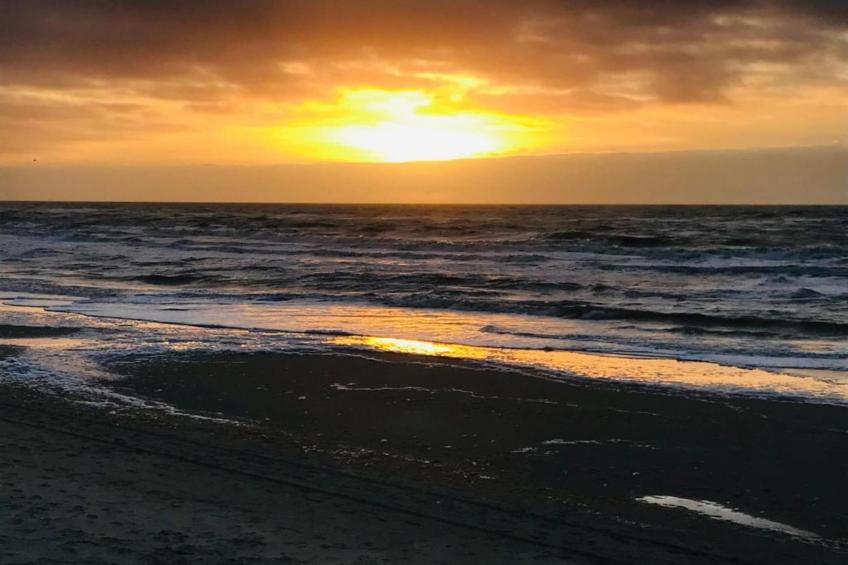 Bargereed 90 - foto 35