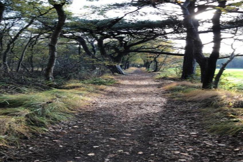 Recreatiepark Idskenhuizen 11 - foto 39