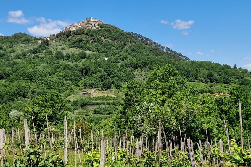 Mini-Appartement Casa Colombana mit Panoramablick - foto 11