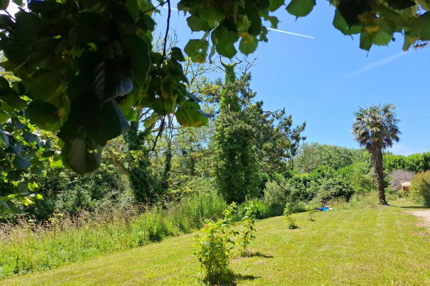 Le Bois aux Ecureuils (Eichhörnchenwald) - foto 45