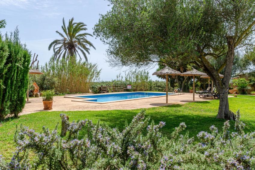 YourHouse Son Sala Agroturismo Vina Vella - doble - foto 31