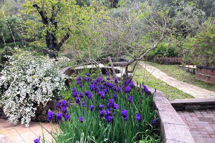 Granatapfel-Wohnung - foto 40