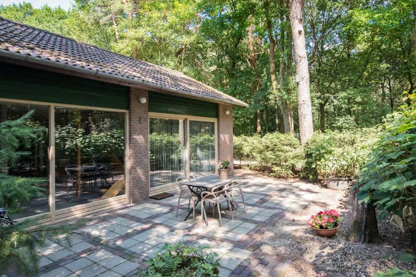 De Rode Ibis - foto 18