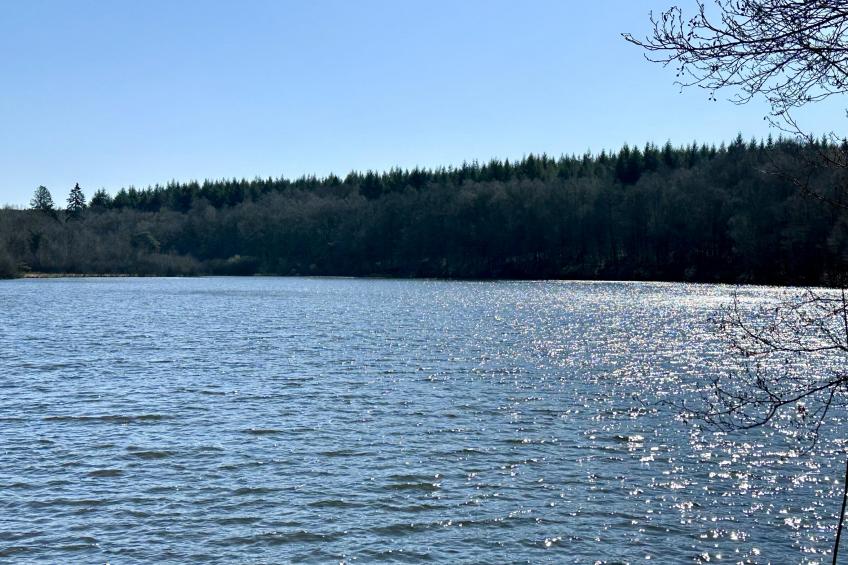 Pré Hugon 11 - foto 37