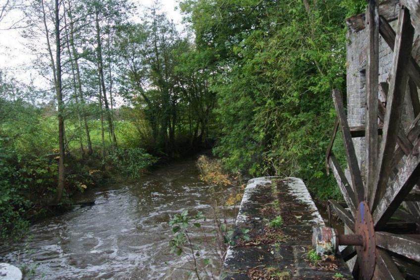 "Gîte de la Sienne" - foto 33