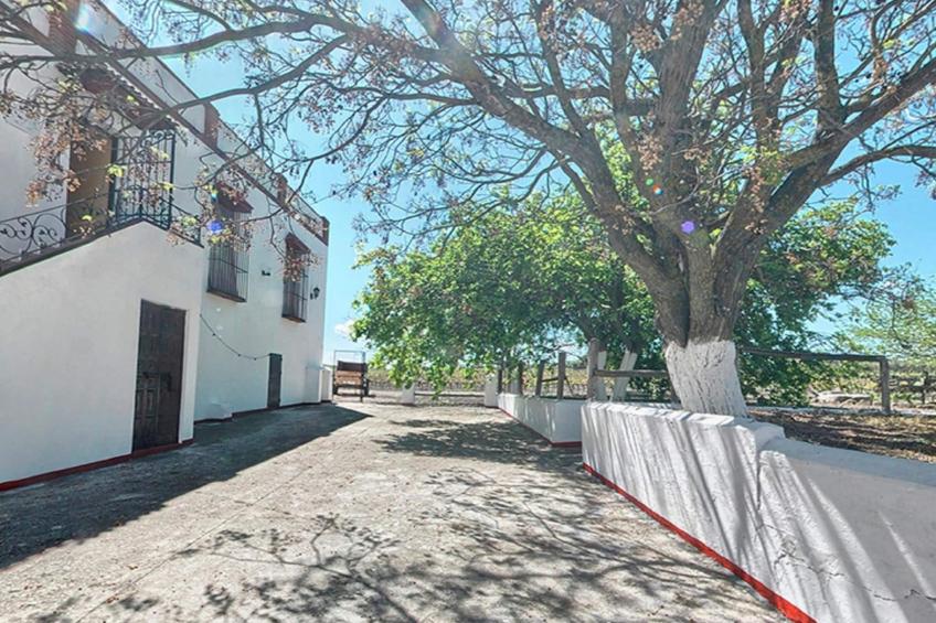 El Patriarcal - foto 21
