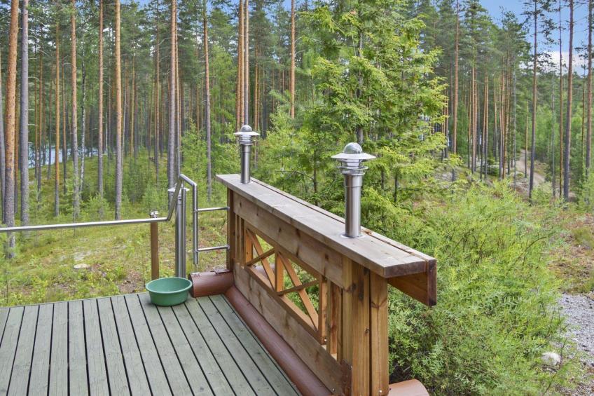 Villa tunturitervakko - foto 28