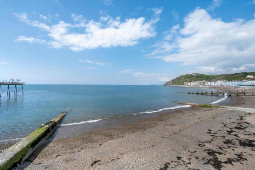 Brodawel - Field Cottage - foto 38