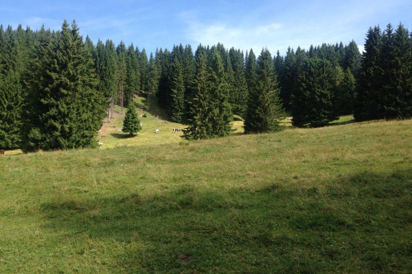 Chalet "Rennweg 114" mit Sauna - foto 77